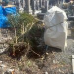 桑名市佛眼院　永代供養墓工事　⑰無縁塚解体